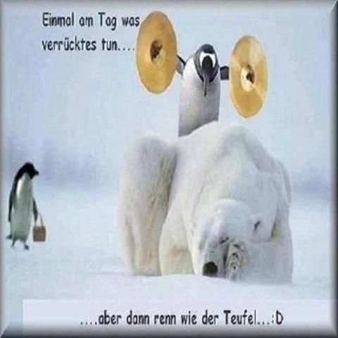Lustige Bilder Kostenlos für Whatsapp *** screenshot 3