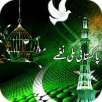 Best Pakistani Mili Naghmay आइकन
