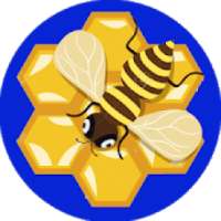 Beekeeping - Apiculture - Bee keeping