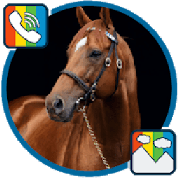 ikon Horse - RINGTONES and WALLPAPERS