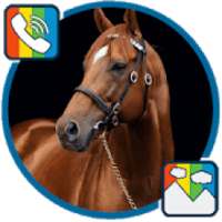 Horse - RINGTONES and WALLPAPERS