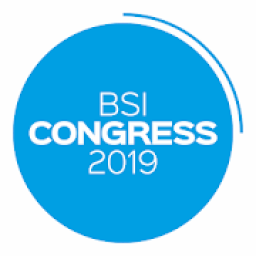 ikon BSI 2019