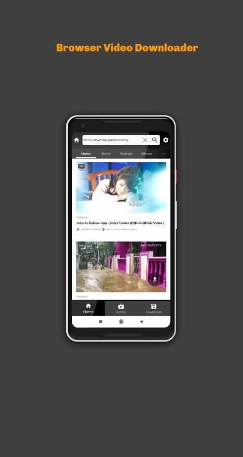Browser Video Downloader स्क्रीनशॉट 2