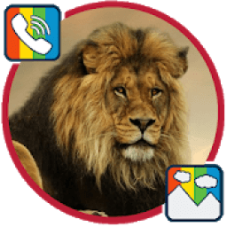 Lion - RINGTONES and WALLPAPERS आइकन