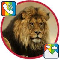 Lion - RINGTONES and WALLPAPERS
