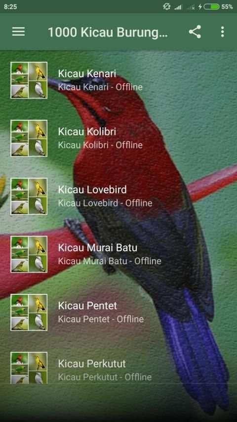 1000 Kicau Burung Lengkap screenshot 4
