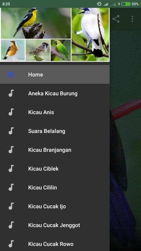 1000 Kicau Burung Lengkap screenshot 5