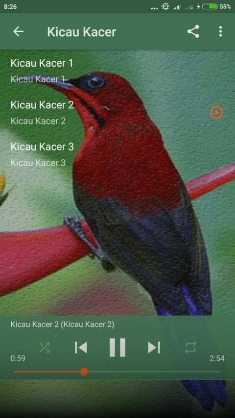 1000 Kicau Burung Lengkap screenshot 2