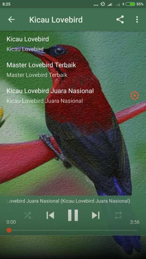 1000 Kicau Burung Lengkap screenshot 3
