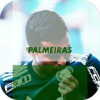 Papel de Parede do Time do Palmeiras on 9Apps