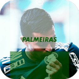 Papel de Parede do Time do Palmeiras आइकन