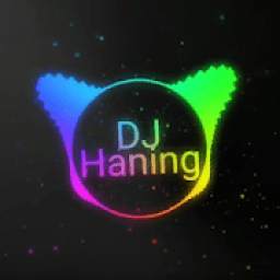 Dj Haning 1.0