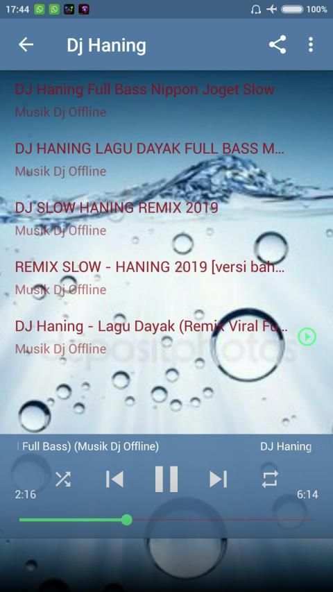 Dj Haning Full Bass Mp3 Offline screenshot 5