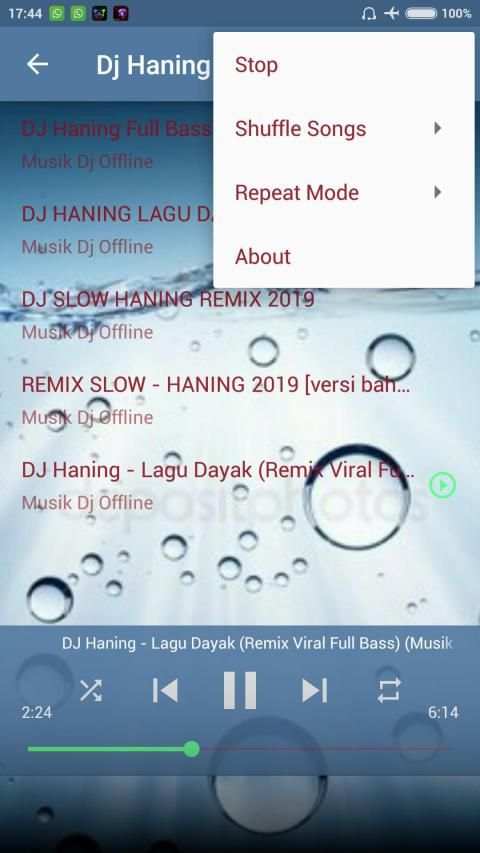 Dj Haning Full Bass Mp3 Offline screenshot 4