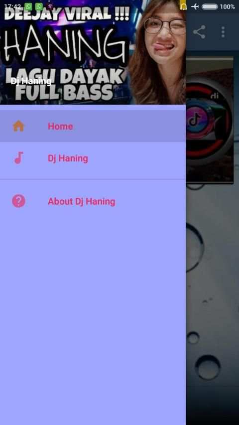 Dj Haning Full Bass Mp3 Offline screenshot 7