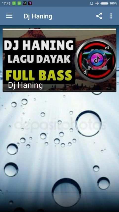 Dj Haning Full Bass Mp3 Offline screenshot 6