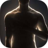 Gaming Streaming Video