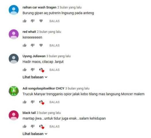 Suara Terapi Burung screenshot 1