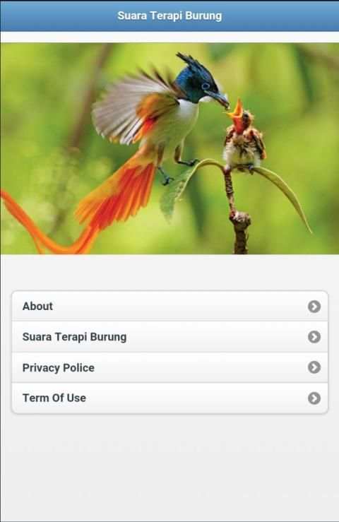 Suara Terapi Burung screenshot 4