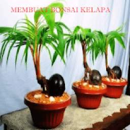 Bonsai Kelapa 1.0