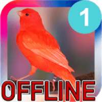 Kicau Burung Kenari Juara Offline icon