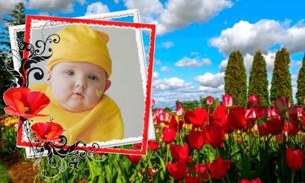 Awesome Garden Frame Photo application screenshot 8