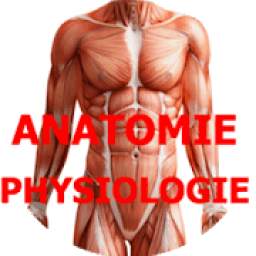 Anatomy - Physiology