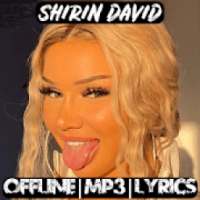 Shirin David Musik : Shirin David Ohne Internet on 9Apps