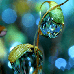 655 Words आइकन