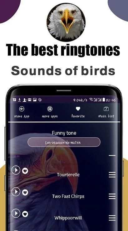 most beautiful bird tones 2020 screenshot 1