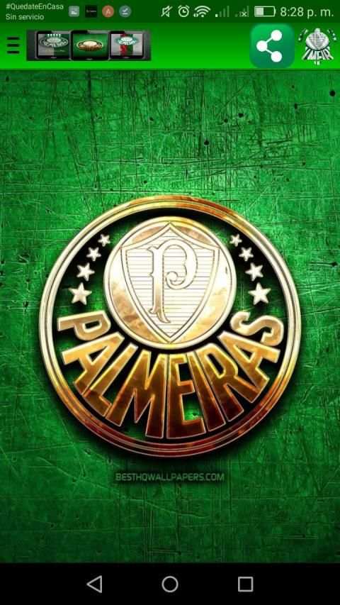 Palmeiras Wallpapers screenshot 4