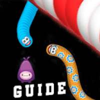 Worms Zone.io Guide