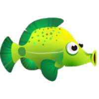 Find My Water – Drop Fish in Water