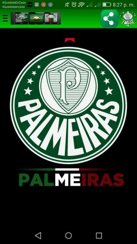 Palmeiras Wallpapers screenshot 6