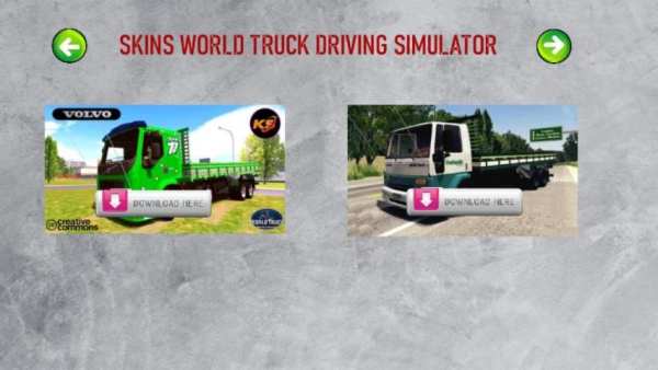 SKINS WORLD TRUCK DRIVING SIMULATOR - WTDS screenshot 8