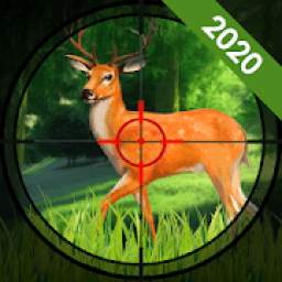 Wild Hunting 3D : Animals Shooting New Games 2020