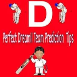 Perfect playing11-Dream11 Team Prediction & Tips
