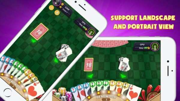 Gin Rummy Extra - GinRummy Plus Classic Card Games screenshot 9