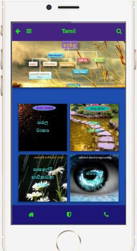 Grade 5 Scholarship Guide screenshot 1