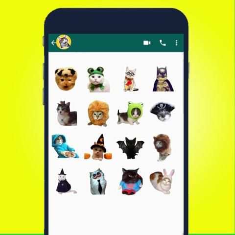 Mejor Stickers de Gato para WAStickerApps 2020 screenshot 2