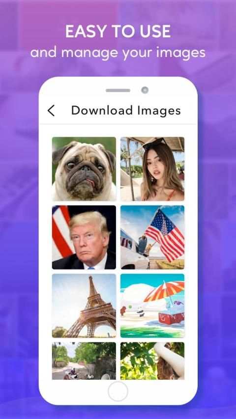 Image Downloader screenshot 2
