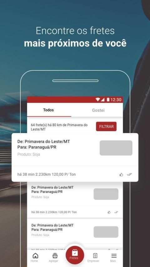 Fretebras screenshot 13