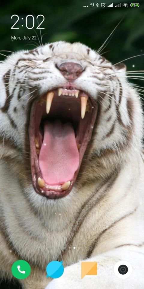 Tiger Live Wallpaper स्क्रीनशॉट 5