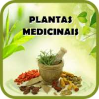 Plantas Medicinais e seus usos on 9Apps