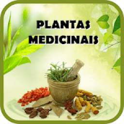 Plantas Medicinais e seus usos