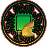 Android Phone Cleaner 2020