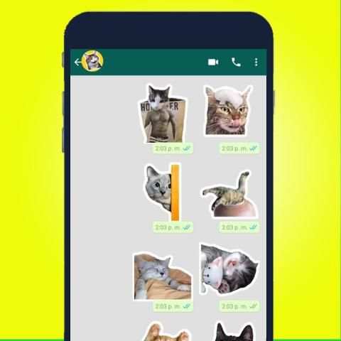 Mejor Stickers de Gato para WAStickerApps 2020 screenshot 4