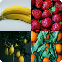 Guess the Fruit - World Fruit आइकन