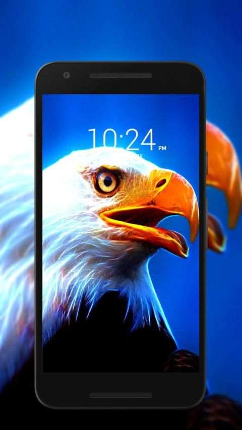 Panduan Eagle Wallpaper Hd screenshot 15