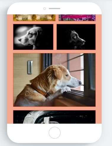 Dogs स्क्रीनशॉट 7